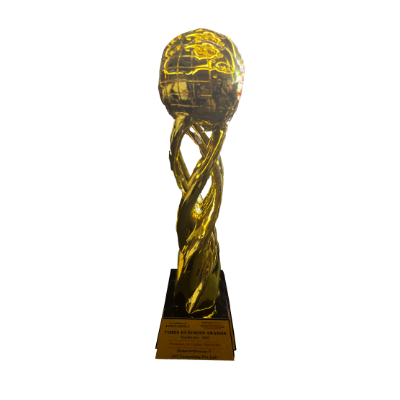 Pioneer in Cyber Security Award